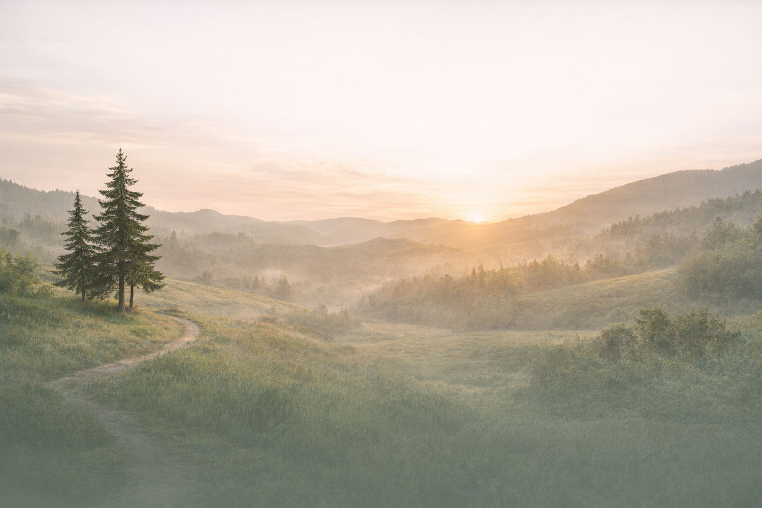 Golden green valley with trees and a trail at the sun is rising over a misty valley.